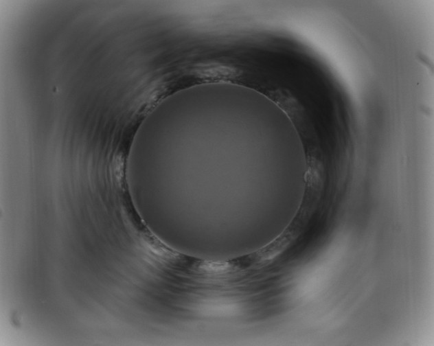 X0000098150767200804241739
