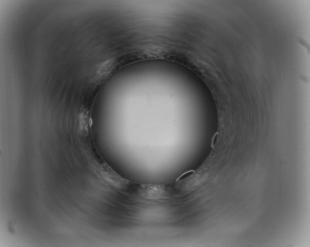 X0000098150768200804241739