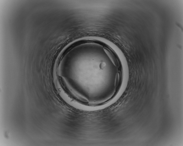 X0000098150769200804241739