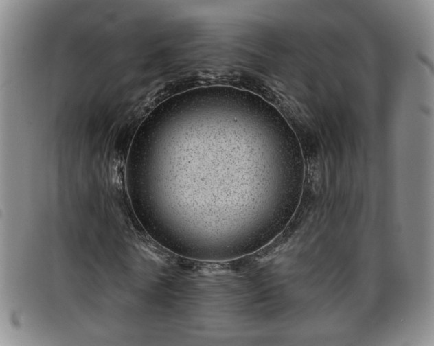 X0000098150770200804241739