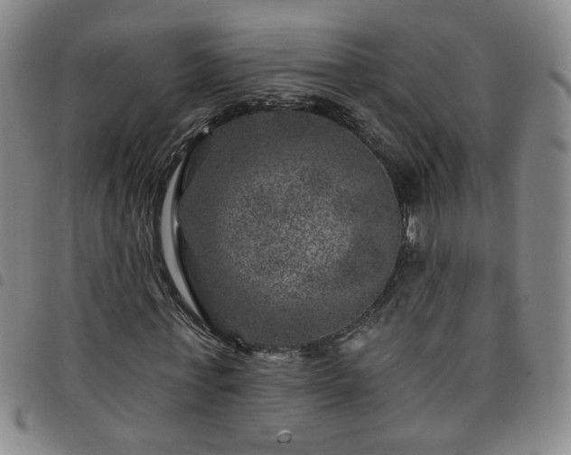 X0000098150771200804241739