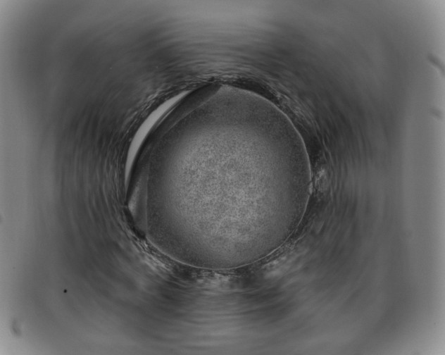 X0000098150772200804241738