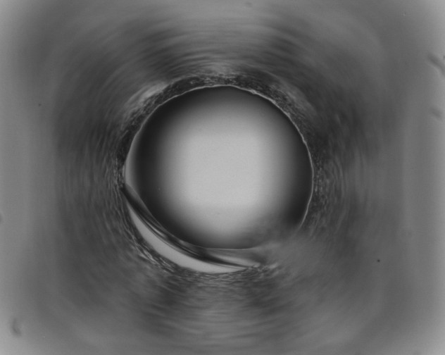 X0000098150773200804241738