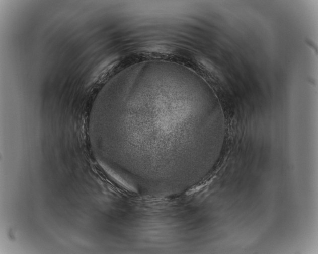 X0000098150774200804241738