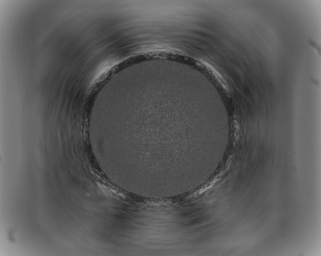 X0000098150775200804241738