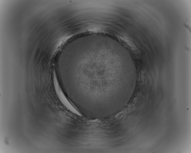 X0000098150776200804241738