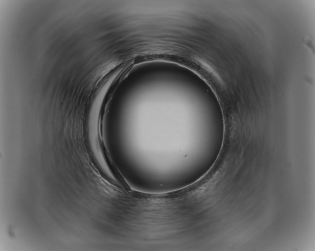 X0000098150777200804241738