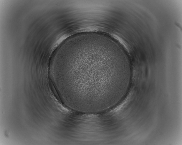X0000098150778200804241738
