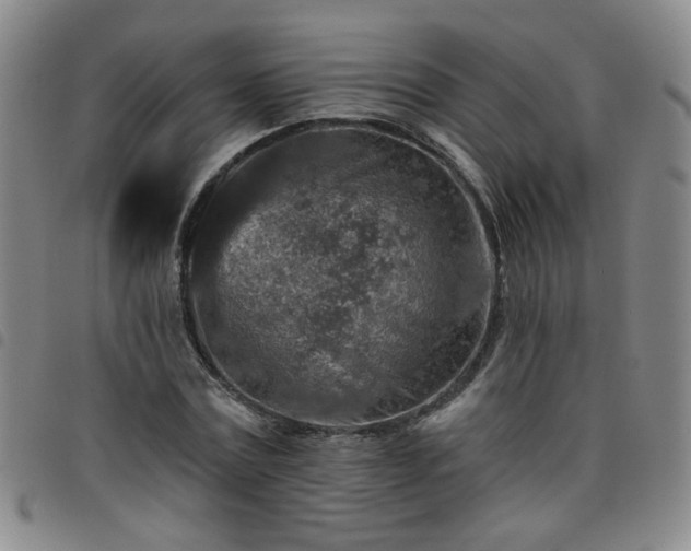 X0000098150779200804241738