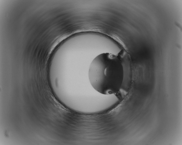 X0000098150781200804241738