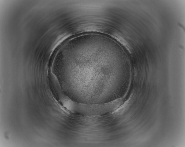X0000098150782200804241738