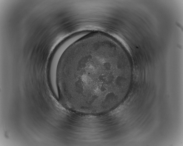 X0000098150783200804241738