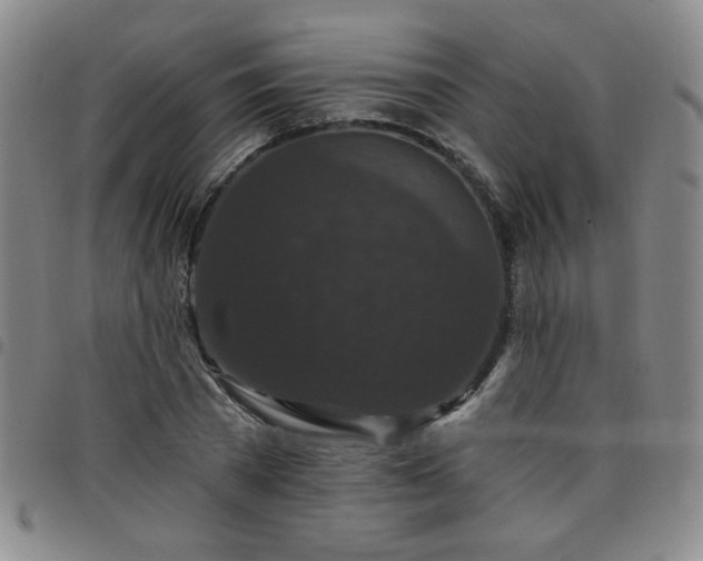 X0000098150785200804241738