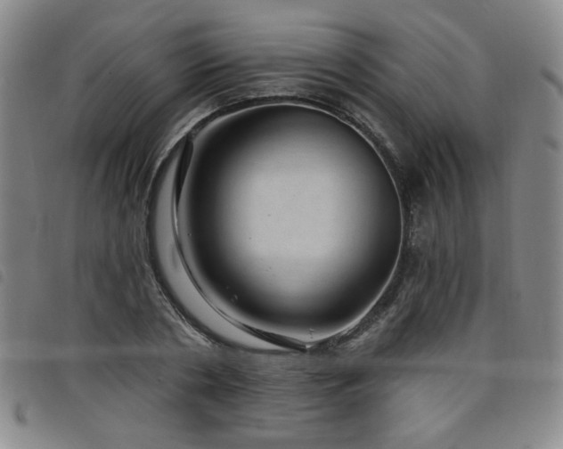 X0000098150786200804241738