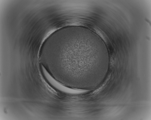 X0000098150787200804241738