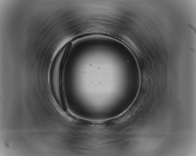 X0000098150788200804241738