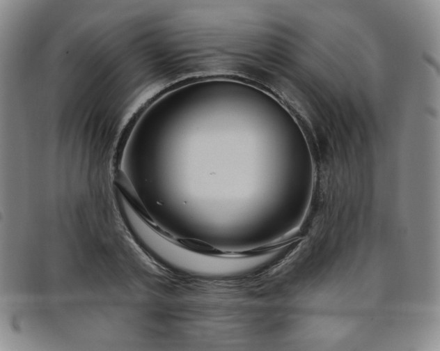 X0000098150789200804241738