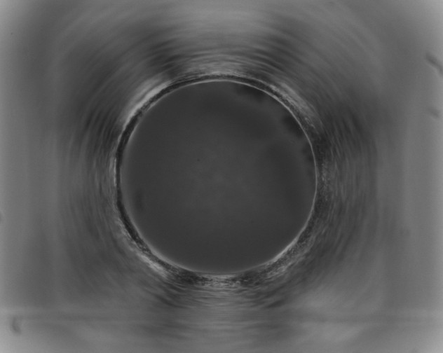 X0000098150790200804241738