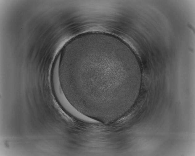 X0000098150791200804241738