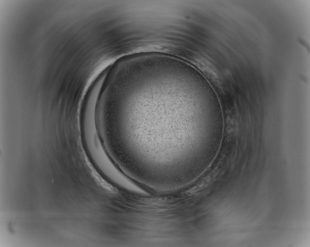X0000098150792200804241738