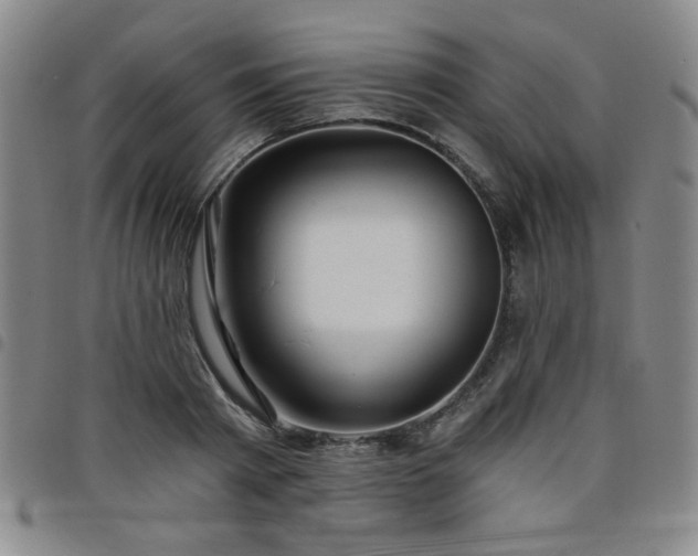 X0000098150793200804241738