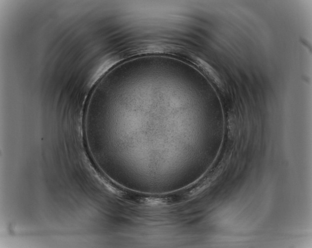 X0000098150794200804241738