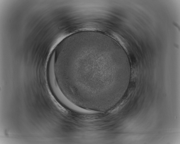 X0000098150795200804241738
