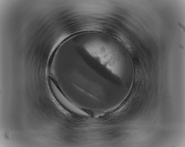 X0000098150796200804241738