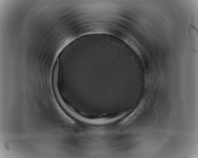 X0000098150797200804241738