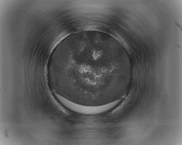 X0000098150798200804241738