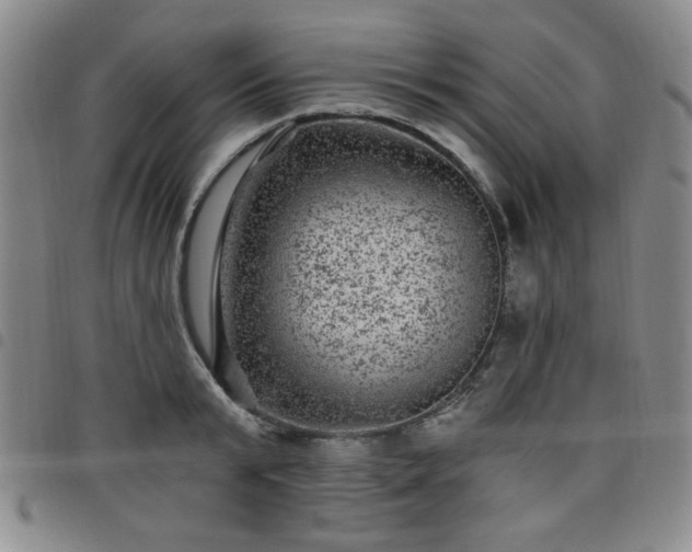 X0000098150799200804241738