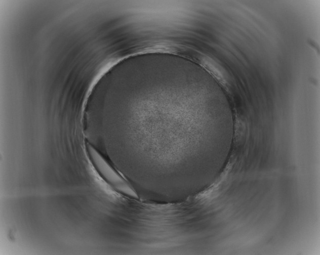 X0000098150800200804241738