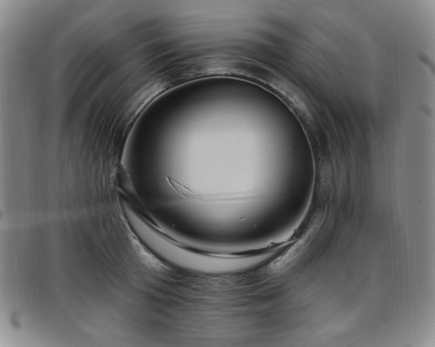 X0000098150801200804241738