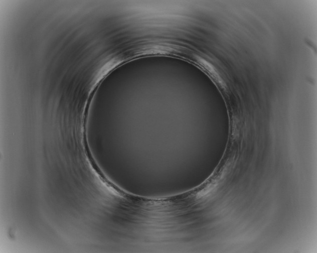X0000098150802200804241738