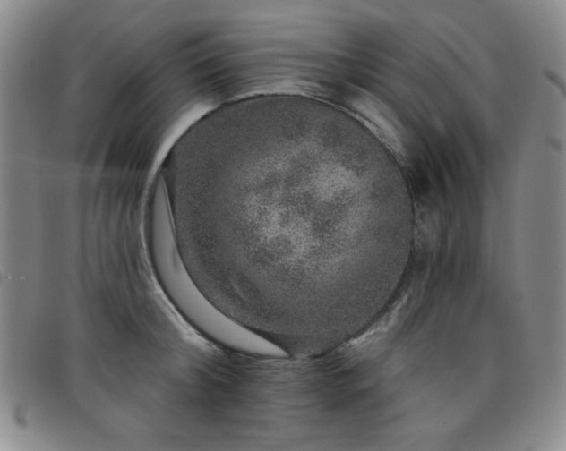 X0000098150804200804241738