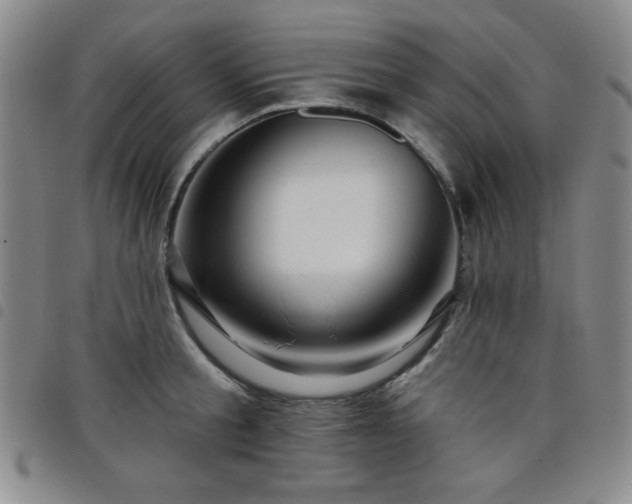 X0000098150805200804241738