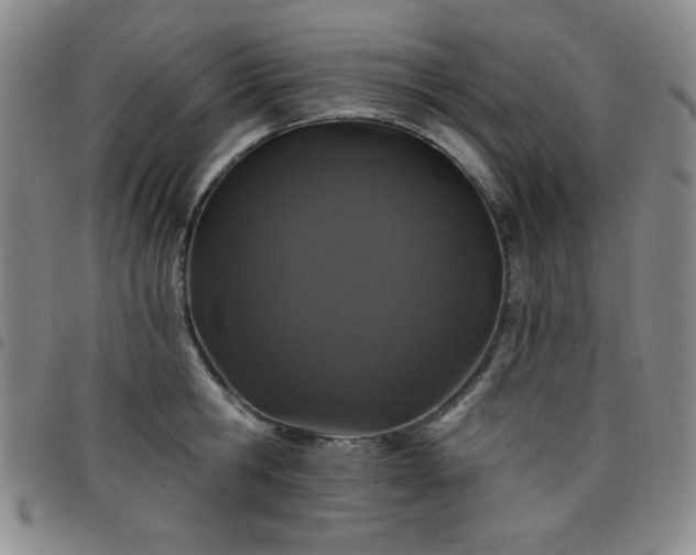 X0000098150806200804241738