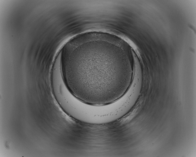 X0000098150807200804241738