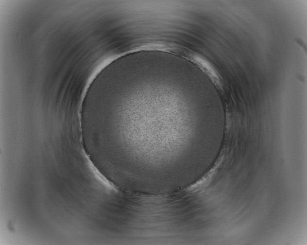 X0000098150808200804241738