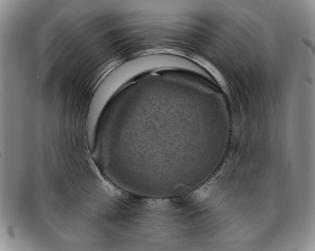 X0000098150809200804241738