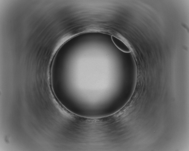 X0000098150811200804241738