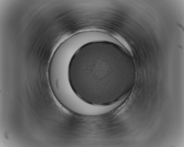 X0000098150813200804241738