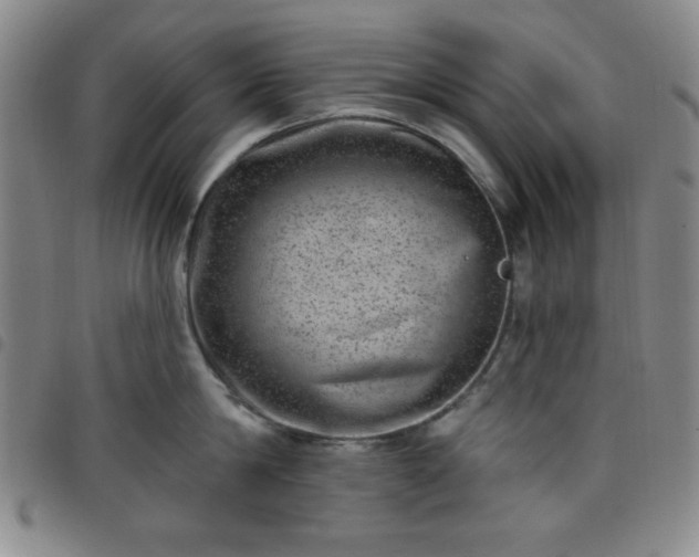 X0000098150814200804241738