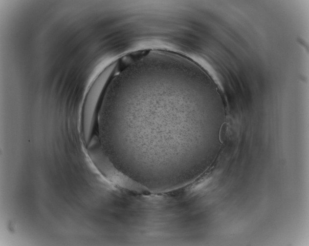 X0000098150815200804241738