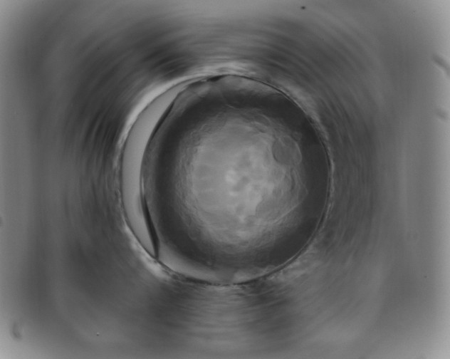 X0000098150816200804241738