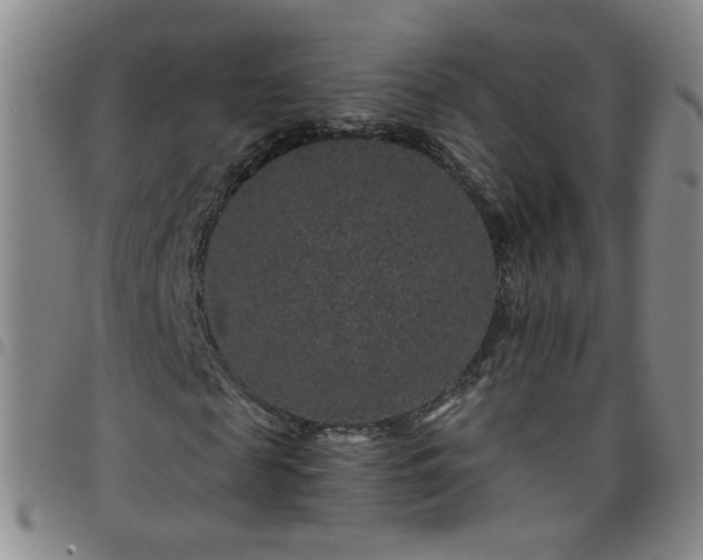 X0000098150817200804241737