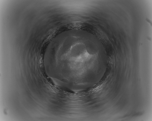 X0000098150818200804241737