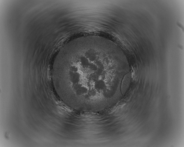 X0000098150819200804241737
