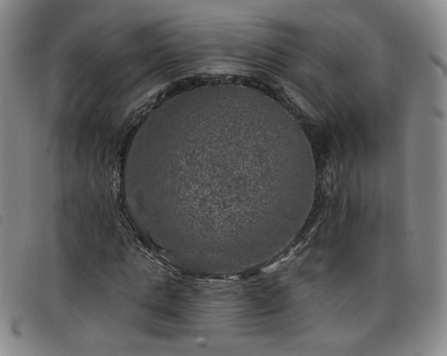 X0000098150821200804241737