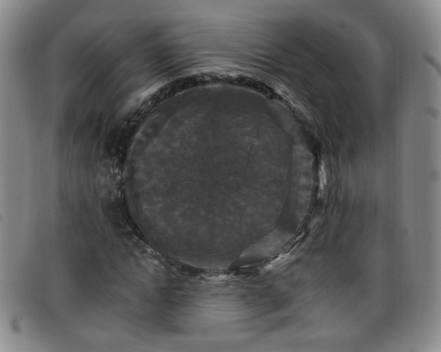 X0000098150822200804241737